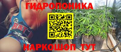 гашишное масло Гудермес