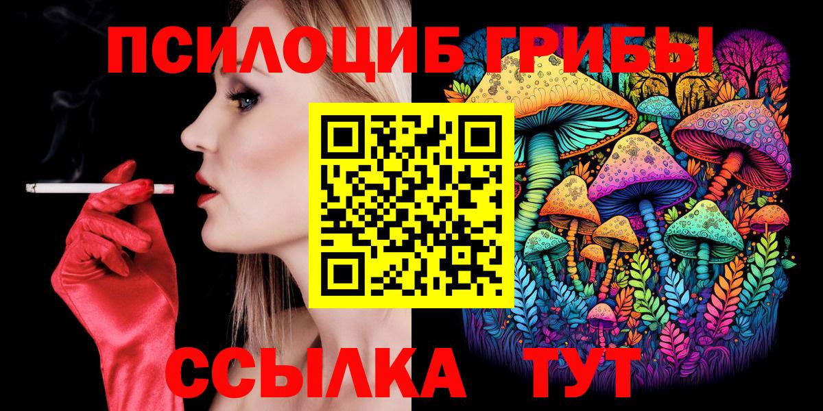 Псилоцибиновые грибы прущие грибы Тайшет